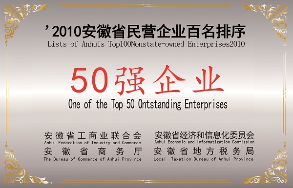 民營50強  2010.jpg